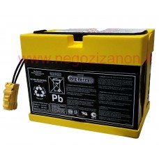 Kit Batteria 24 Volt 5 Ah Tamperproof Peg Perego - IAKB0024